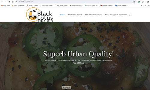 Black lotus cousine Web Design Project Meadows Media LLC